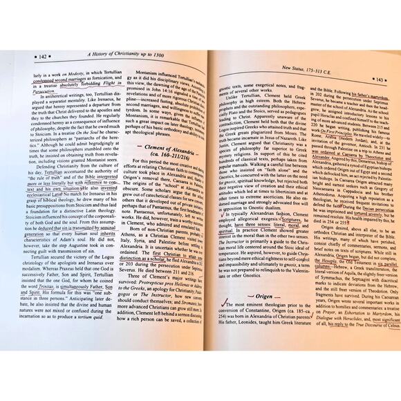 Church Triumphant: History of Christianity up to 1300 by Hinson (1995 1st Ed HC) - Picture 7 of 11